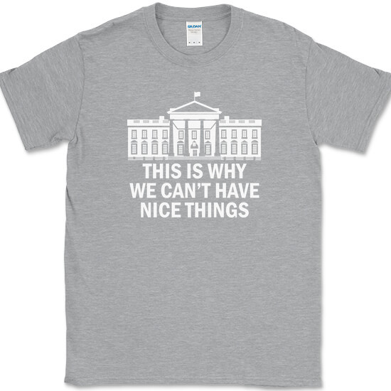 Why We Can’t Have Nice Things T-Shirt Funny Anti Government Political Tee