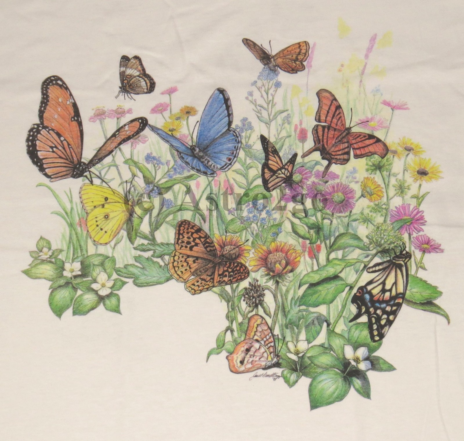 BUTTERFLY GARDEN-Butterflies Flowers Plants Insects Nature Science T shirt S-XXL
