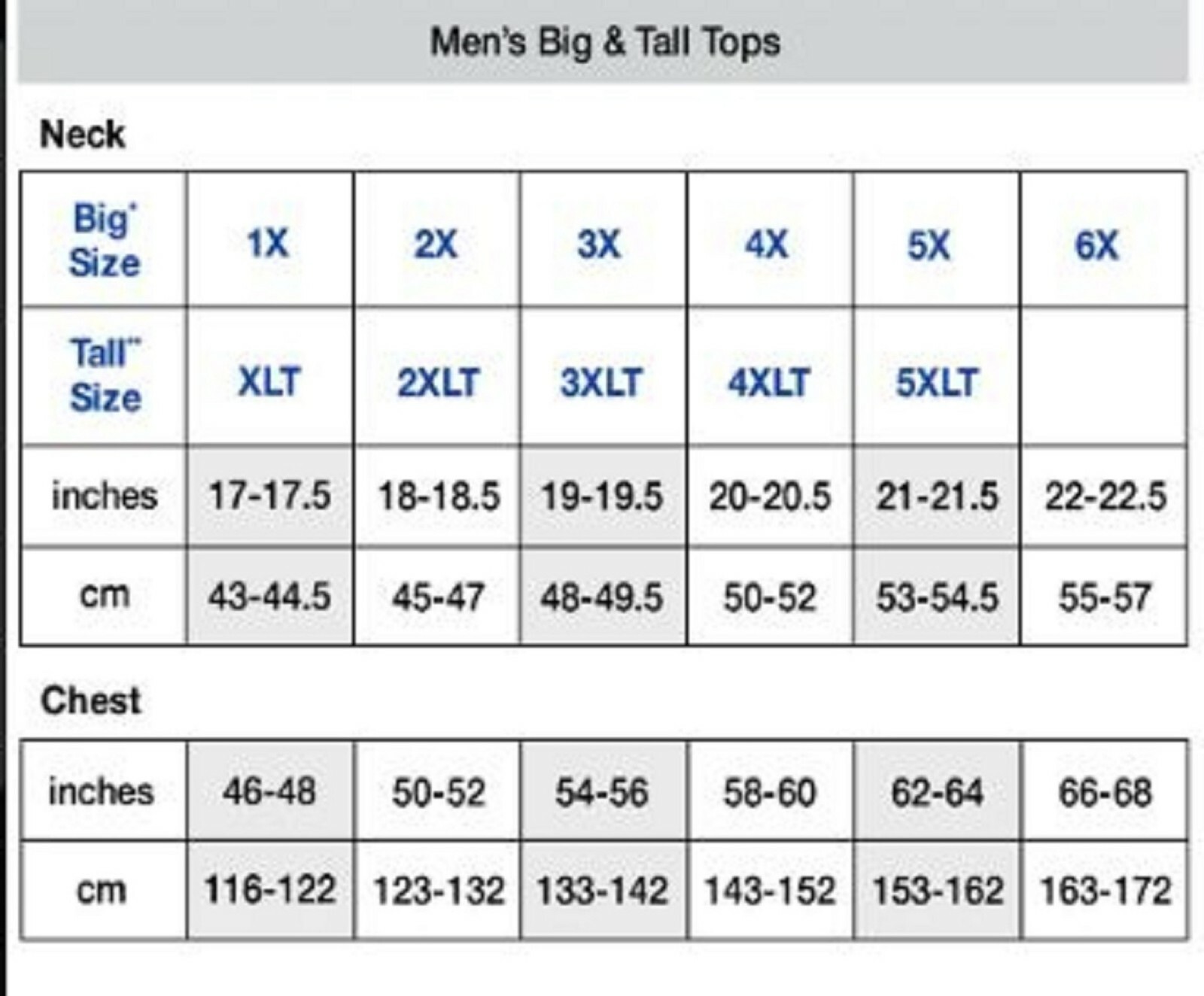 Champion Men’s T-Shirt All Over Camouflage Big & Tall Flocked Logo Crew Neck Tee
