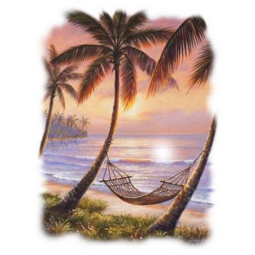 Sunset Siesta T Shirt You Choose Style, Size, Color 10685