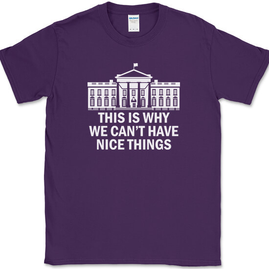 Why We Can’t Have Nice Things T-Shirt Funny Anti Government Political Tee