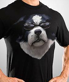 Full Frontal Attitude Big Dogs Black Tee Shirt L XL 2X 3X 4X 5X Sunglasses New