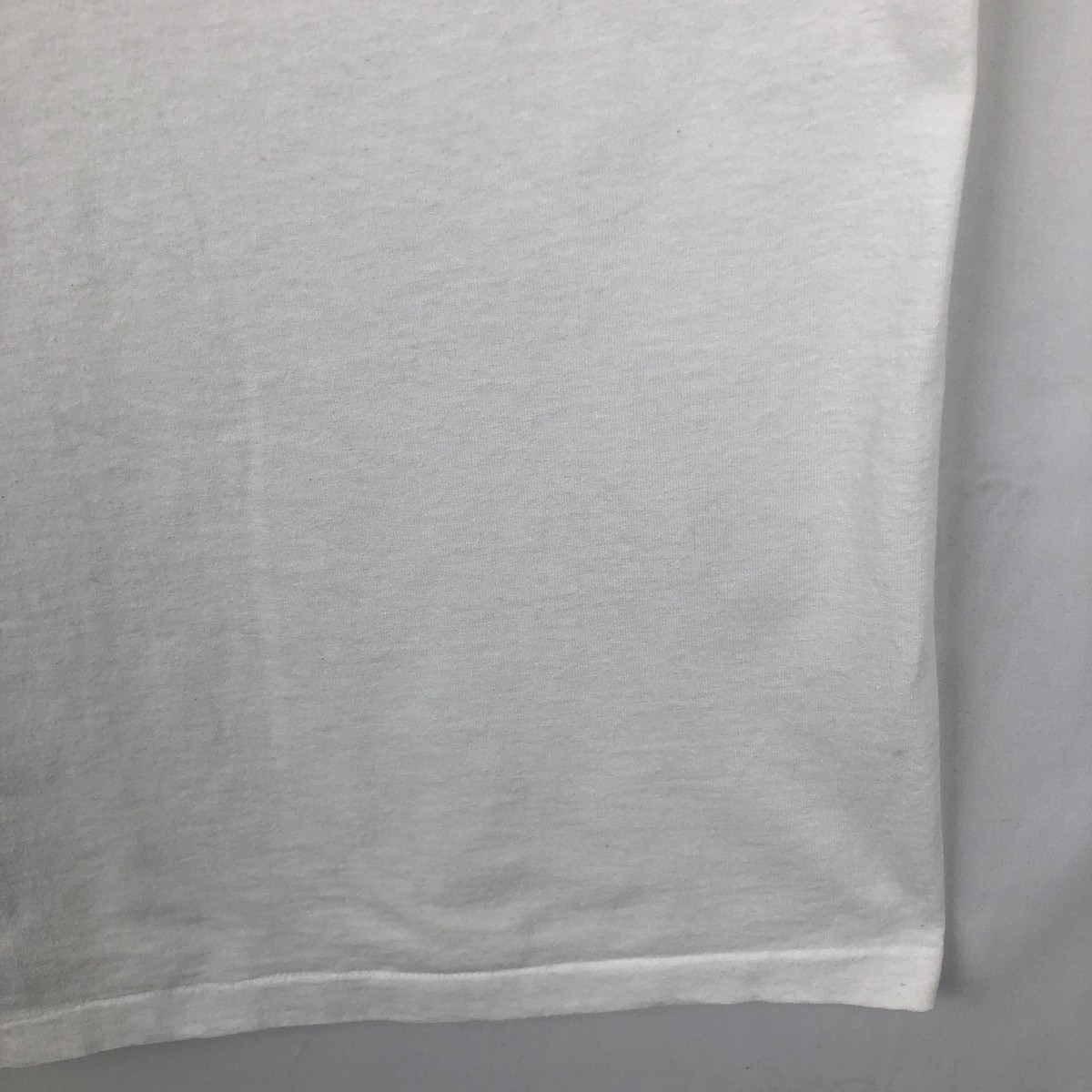Used 90’S-00’S Hanes HEAVYWEIGHT 50/50 Bird Print Animal T-Shirt Men’s XL eq…
