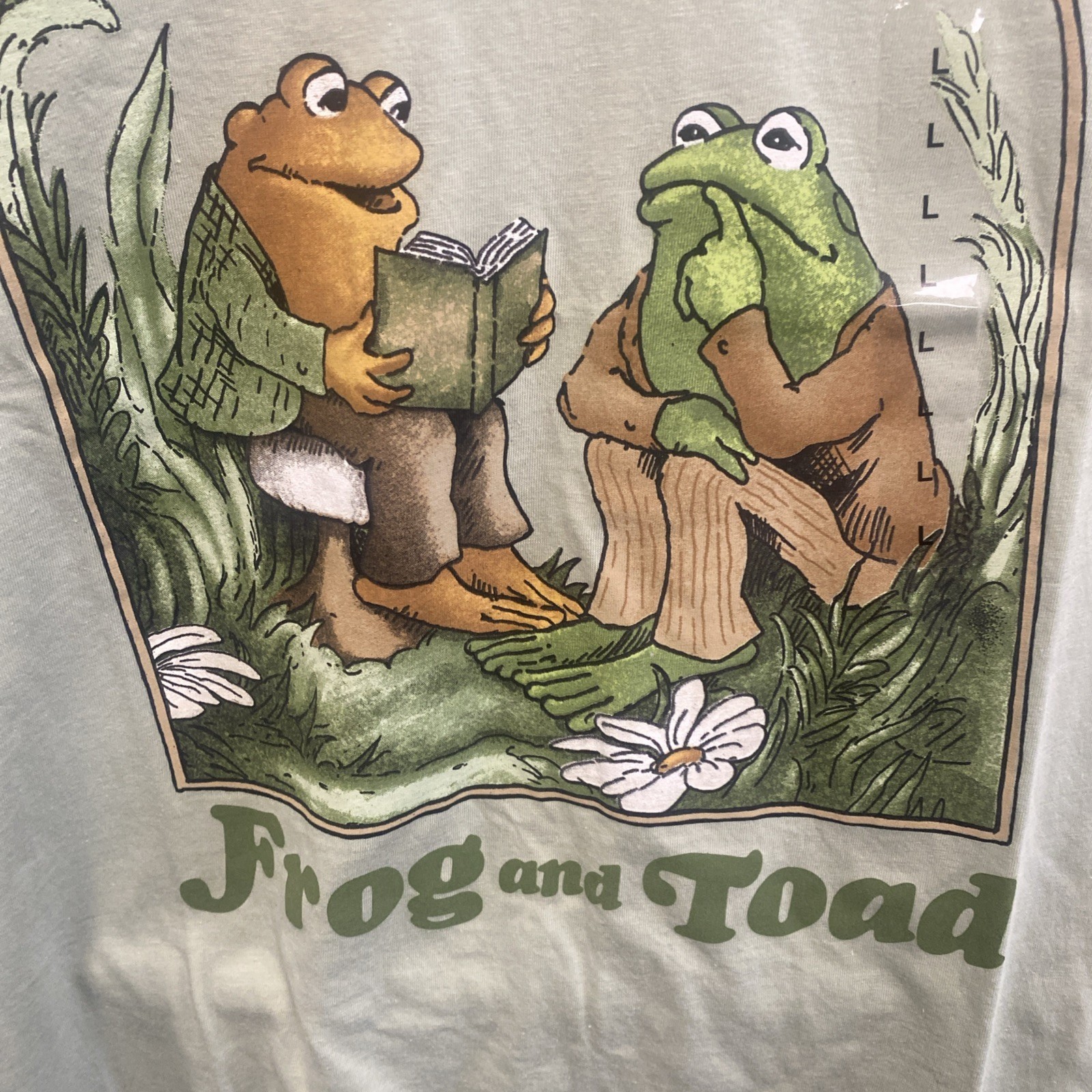 Frog And Toad T Shirt With Book Frog And Toad All Year By Arnold Lobel Large