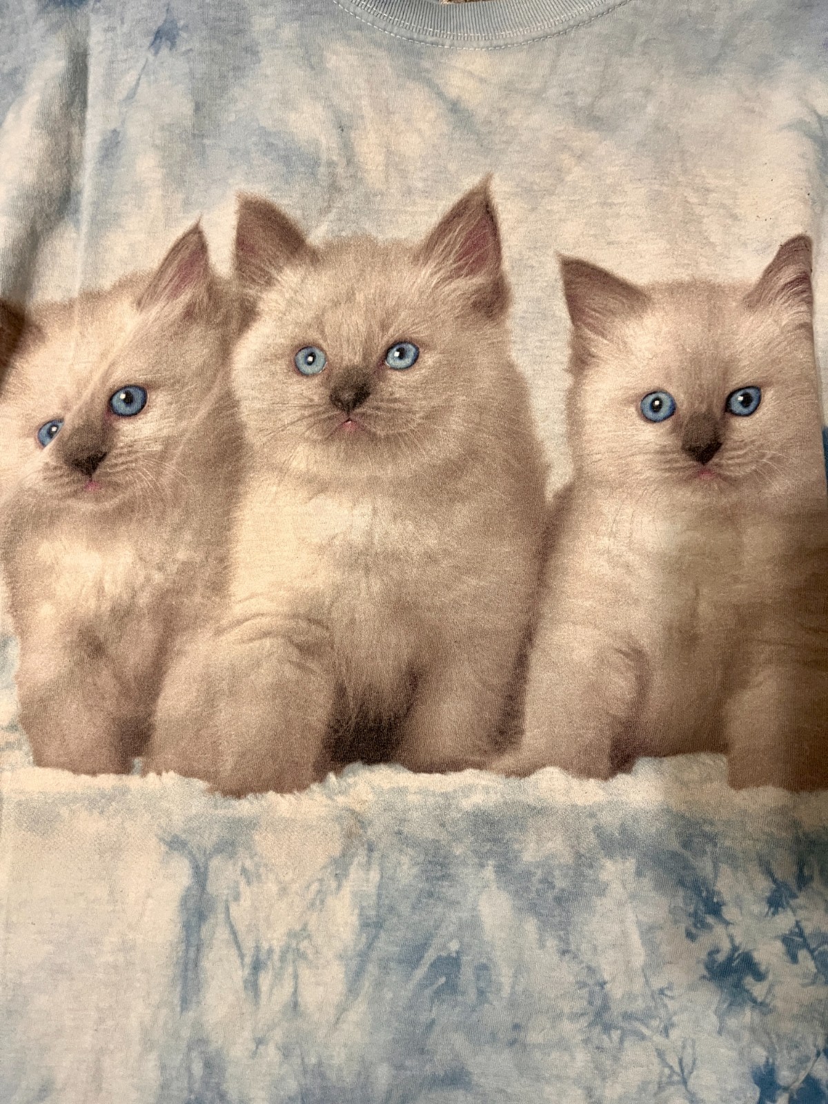 mountain lion kitten tiedye tshirt jerzees 2xl