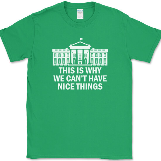 Why We Can’t Have Nice Things T-Shirt Funny Anti Government Political Tee