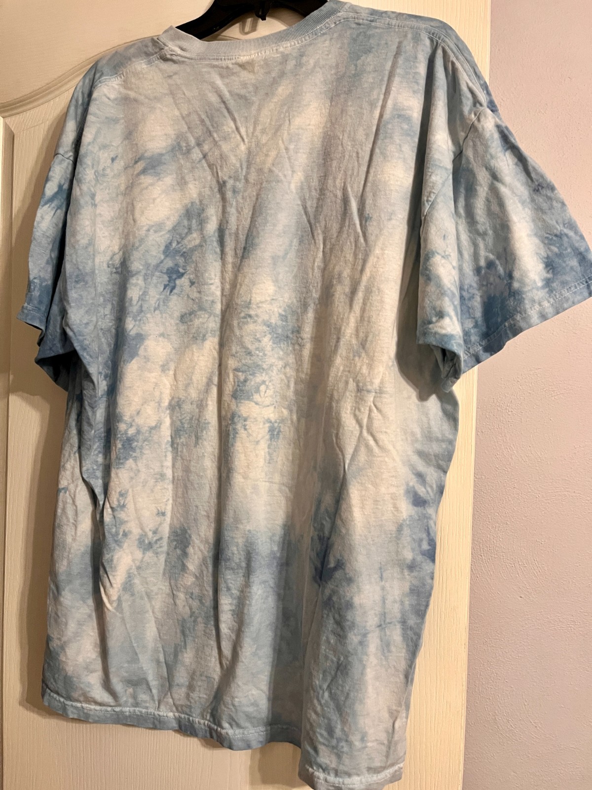 mountain lion kitten tiedye tshirt jerzees 2xl